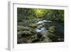 Nikko 1-Michael De Guzman-Framed Photographic Print