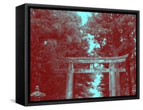 Nikko Gate-NaxArt-Framed Stretched Canvas