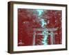 Nikko Gate-NaxArt-Framed Art Print