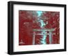 Nikko Gate-NaxArt-Framed Art Print