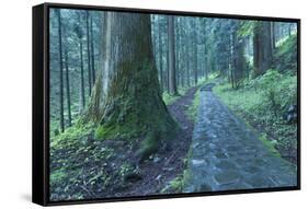 Nikko Pathway-Yury Zap-Framed Stretched Canvas