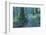 Nikko Pathway-Yury Zap-Framed Photographic Print