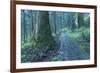 Nikko Pathway-Yury Zap-Framed Photographic Print