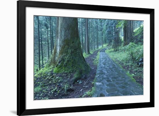 Nikko Pathway-Yury Zap-Framed Photographic Print