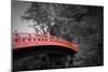 Nikko Red Bridge-NaxArt-Mounted Art Print