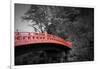 Nikko Red Bridge-NaxArt-Framed Art Print