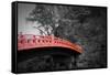 Nikko Red Bridge-NaxArt-Framed Stretched Canvas