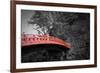 Nikko Red Bridge-NaxArt-Framed Premium Giclee Print