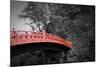 Nikko Red Bridge-NaxArt-Mounted Premium Giclee Print