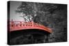 Nikko Red Bridge-NaxArt-Stretched Canvas