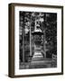 Nikko Sculpture-NaxArt-Framed Art Print