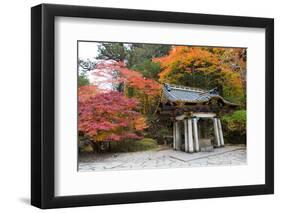 Nikko-Jorisvo-Framed Photographic Print