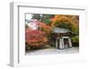 Nikko-Jorisvo-Framed Photographic Print