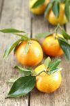 Clementines with Leaves on Wood-Nikky-Stretched Canvas