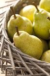 Pears, Ripe, Harvest, Basket-Nikky Maier-Photographic Print