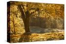 Stretched Canvas