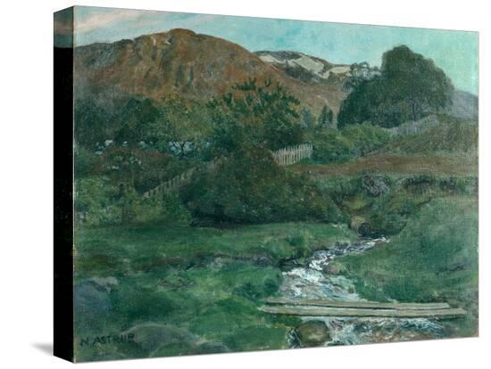 Stretched Canvas Print, , large