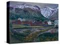 Stretched Canvas