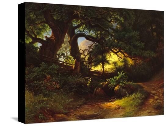 Stretched Canvas Print, , large