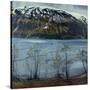 Stretched Canvas