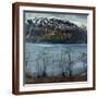 Brown Frame