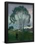 Essential Black