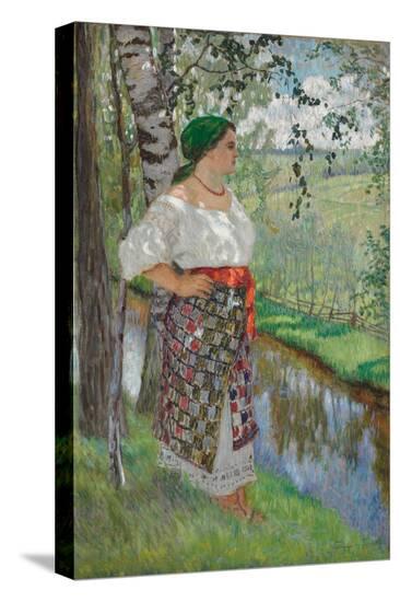 Stretched Canvas Print, , large