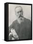 Nikolay Andreyevich Rimsky-Korsakov Russian Composer in Later Life-null-Framed Stretched Canvas