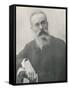 Nikolay Andreyevich Rimsky-Korsakov Russian Composer in Later Life-null-Framed Stretched Canvas