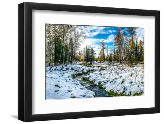Premium Photographic Print, , large