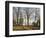 Nikolo-Bogoyavlenskiy Morskoy Sobor Orthodox Church, St. Petersburg, Leningrad Oblast, Russia-Ben Pipe-Framed Photographic Print