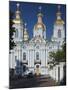 Nikolsky Cathedral, Saint Petersburg, Russia-Walter Bibikow-Mounted Premium Photographic Print