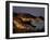 Nile Crocodile, Chobe River at Sunset, Chobe National Park, Botswana-Paul Souders-Framed Photographic Print