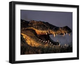 Nile Crocodile, Chobe River at Sunset, Chobe National Park, Botswana-Paul Souders-Framed Photographic Print