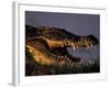 Nile Crocodile, Chobe River at Sunset, Chobe National Park, Botswana-Paul Souders-Framed Photographic Print