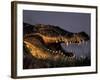 Nile Crocodile, Chobe River at Sunset, Chobe National Park, Botswana-Paul Souders-Framed Photographic Print