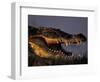 Nile Crocodile, Chobe River at Sunset, Chobe National Park, Botswana-Paul Souders-Framed Photographic Print