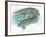 Nile Crocodile Crocodylus Niloticus Catching Fish-null-Framed Giclee Print