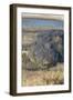 Nile crocodile (Crocodylus niloticus), Chobe River, Botswana, Africa-Ann and Steve Toon-Framed Photographic Print