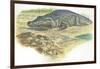 Nile Crocodile Crocodylus Niloticus Near its Laid Eggs-null-Framed Giclee Print