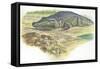 Nile Crocodile Crocodylus Niloticus Near its Laid Eggs-null-Framed Stretched Canvas