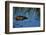 Nile Crocodile in the Khwai River-Paul Souders-Framed Photographic Print