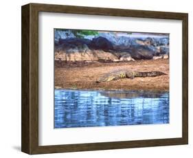 Nile Crocodile, Tanzania-David Northcott-Framed Photographic Print