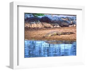 Nile Crocodile, Tanzania-David Northcott-Framed Photographic Print
