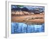 Nile Crocodile, Tanzania-David Northcott-Framed Photographic Print