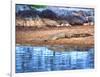 Nile Crocodile, Tanzania-David Northcott-Framed Photographic Print