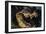 Nile Crocodile with Open Mouth-Paul Souders-Framed Photographic Print