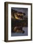 Nile Crocodile with Open Mouth-Paul Souders-Framed Photographic Print