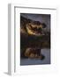 Nile Crocodile with Open Mouth-Paul Souders-Framed Photographic Print