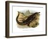 Nile Crocodile-null-Framed Giclee Print